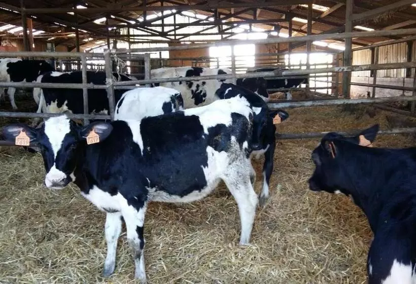 ホテル Charmante Maison à La Ferme