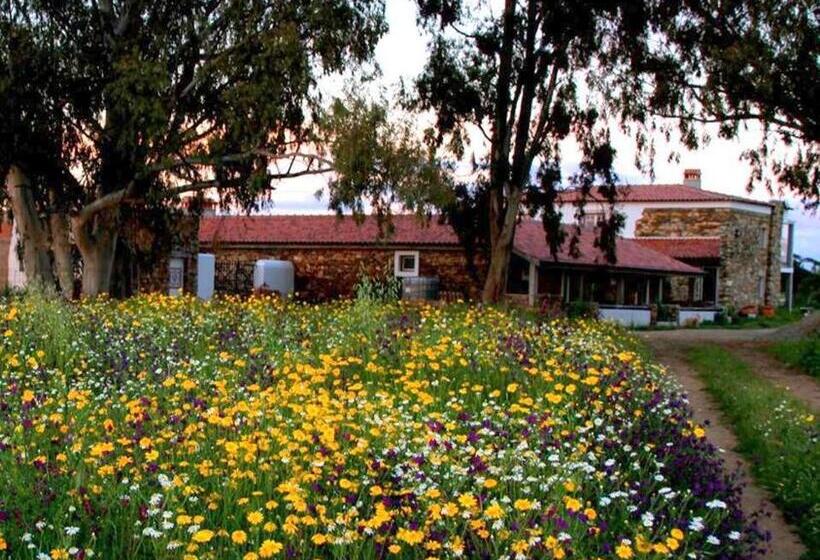 فندق Couto Dos Pardinhos