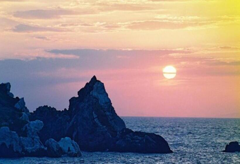 Hotel Guesthouse Strawberryfarm Shirasaki ⅱ / Vacation Stay19359