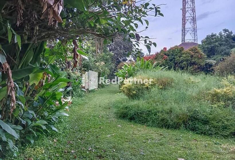 هتل Kampung Resort Pertiwi Redpartner