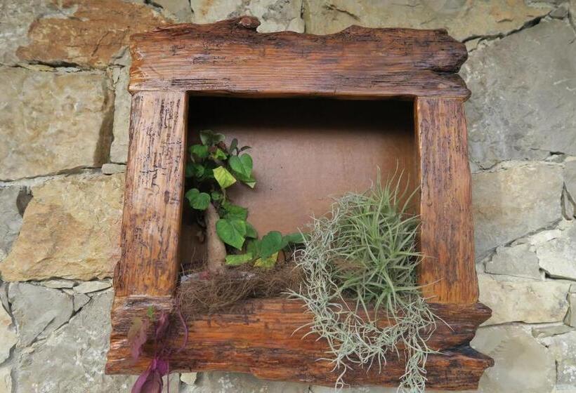 호텔 Noz Por Cá... Turismo Em Espaco Rural