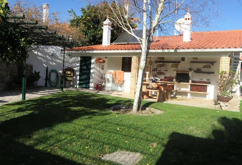 호텔 Noz Por Cá... Turismo Em Espaco Rural