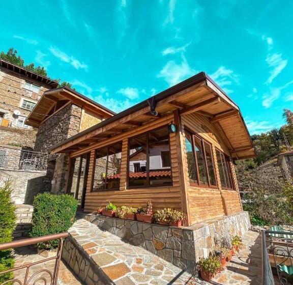 ペンション къща за гости виевци