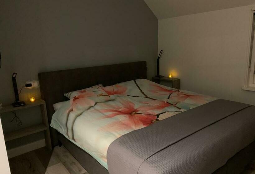 بنسيون Gastenverblijf  T Oelengoor