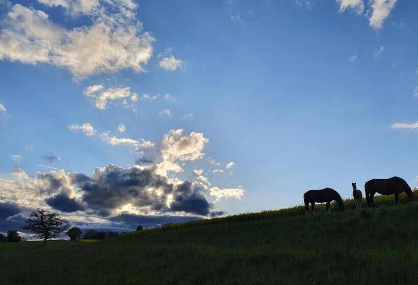 Пансион Maison Chalet