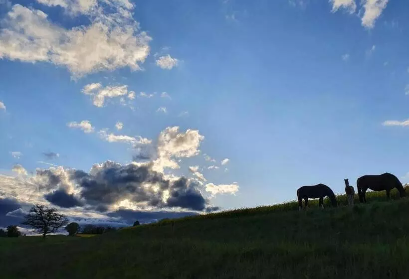 ペンション Maison Chalet