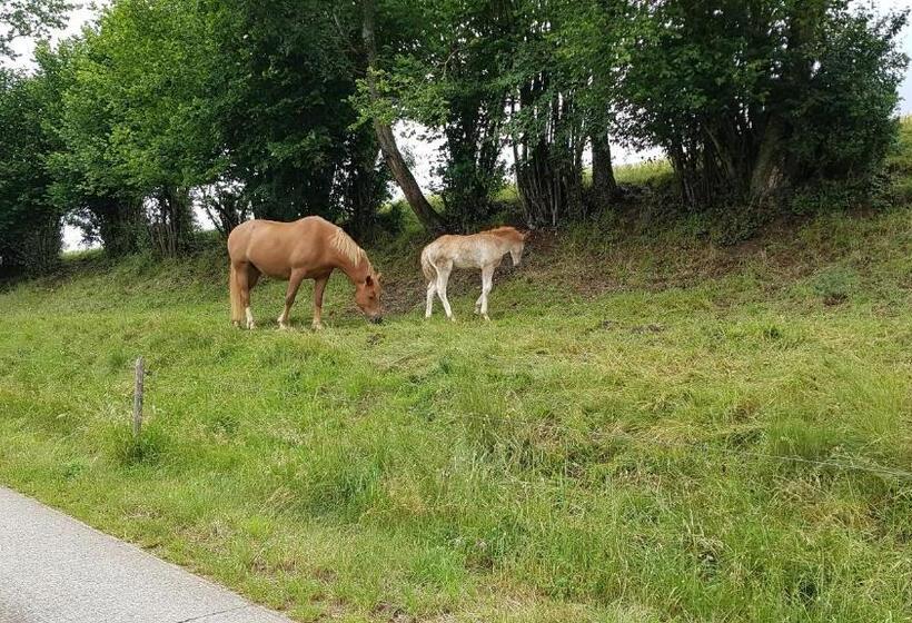 Пансион Maison Chalet