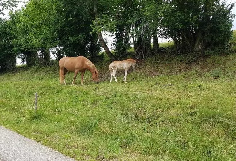 ペンション Maison Chalet