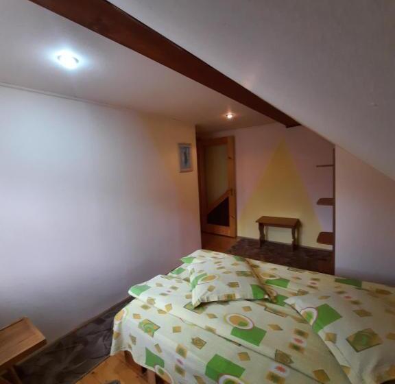 Pensiunea Casa Soarelui