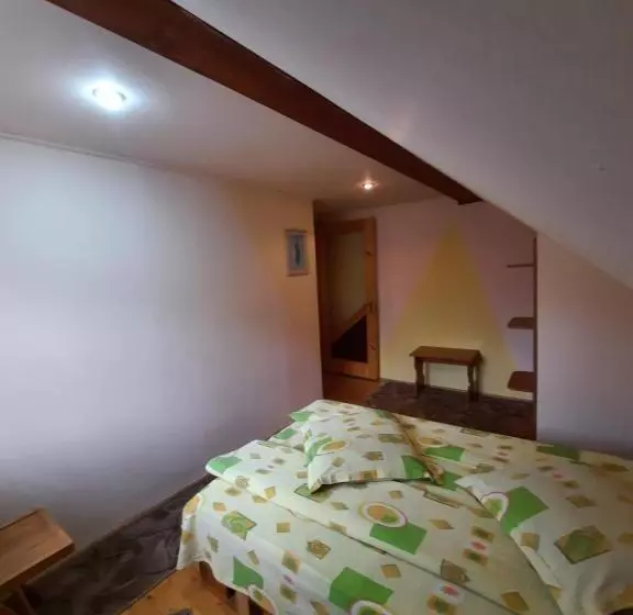 Pensiunea Casa Soarelui