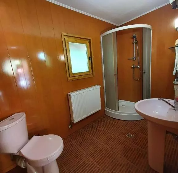 Pensiunea Casa Soarelui