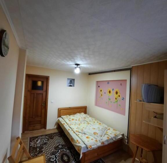 Pensiunea Casa Soarelui