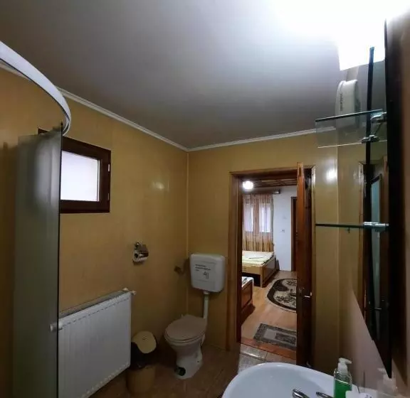 Pensiunea Casa Soarelui