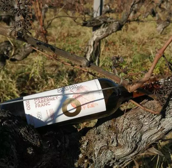 Aamiaismajoitus (B&B) Chambre D Hôte Près Bordeaux Au Château Camponac