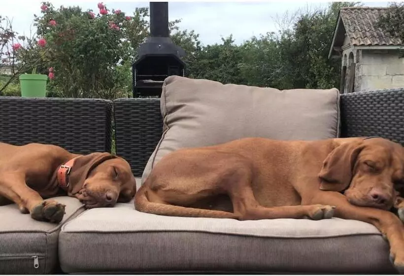 Aamiaismajoitus (B&B) Chambre D Hôte Près Bordeaux Au Château Camponac