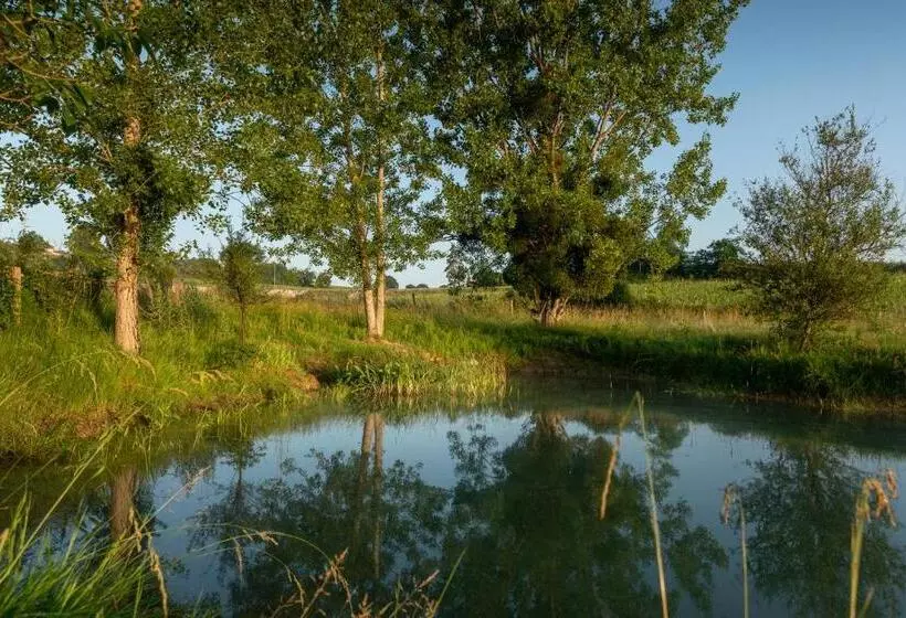 Aamiaismajoitus (B&B) Chambre D Hôte Près Bordeaux Au Château Camponac