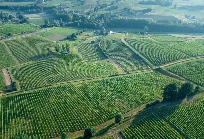 Aamiaismajoitus (B&B) Chambre D Hôte Près Bordeaux Au Château Camponac