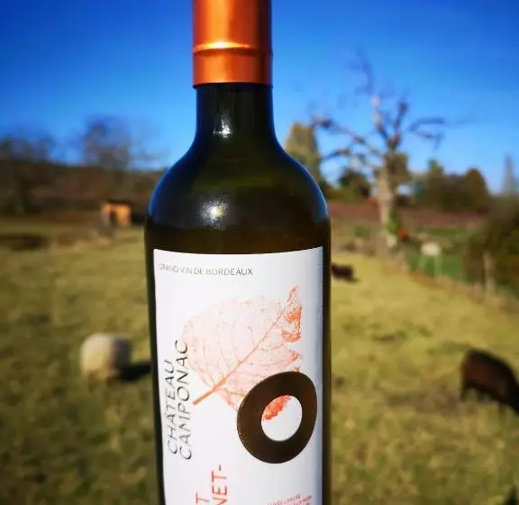 Aamiaismajoitus (B&B) Chambre D Hôte Près Bordeaux Au Château Camponac