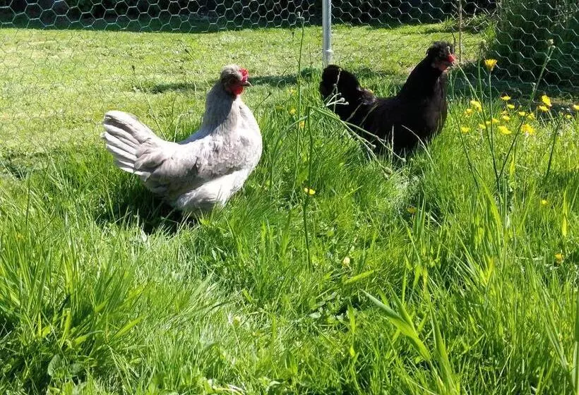 Aamiaismajoitus (B&B) La Jacarandière