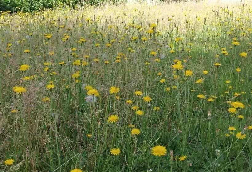 Aamiaismajoitus (B&B) La Jacarandière