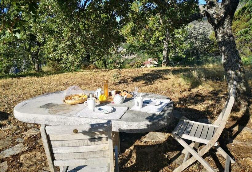 ベッドアンドブレックファースト Le Cabanon De Gourdon Bergerie Rénové En Pierre Vue Mer