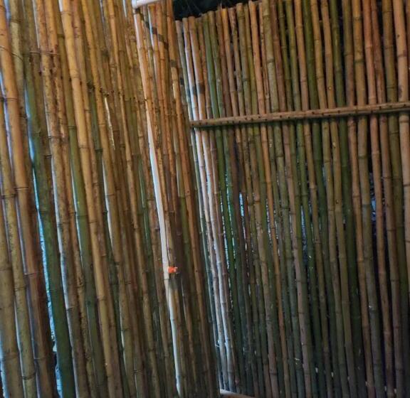 ペンション Hostal Amaní