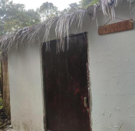 ペンション Hostal Amaní