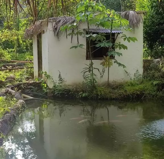 ペンション Hostal Amaní