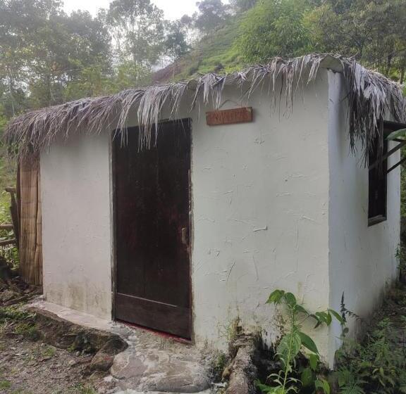 ペンション Hostal Amaní