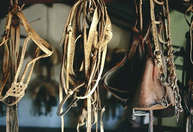 فندق Dos Lunas Horse Riding Lodge