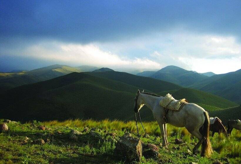 فندق Dos Lunas Horse Riding Lodge