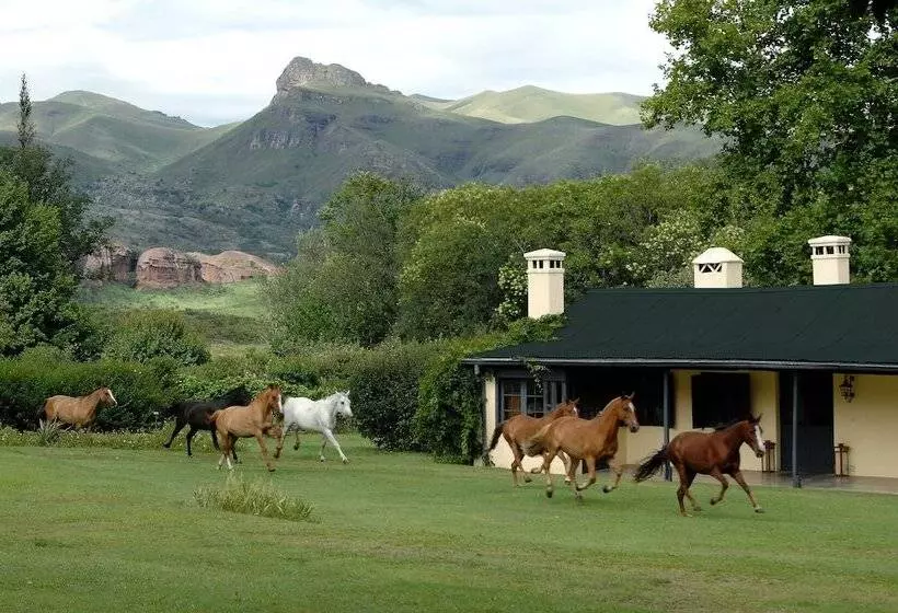 Hotelli Dos Lunas Horse Riding Lodge