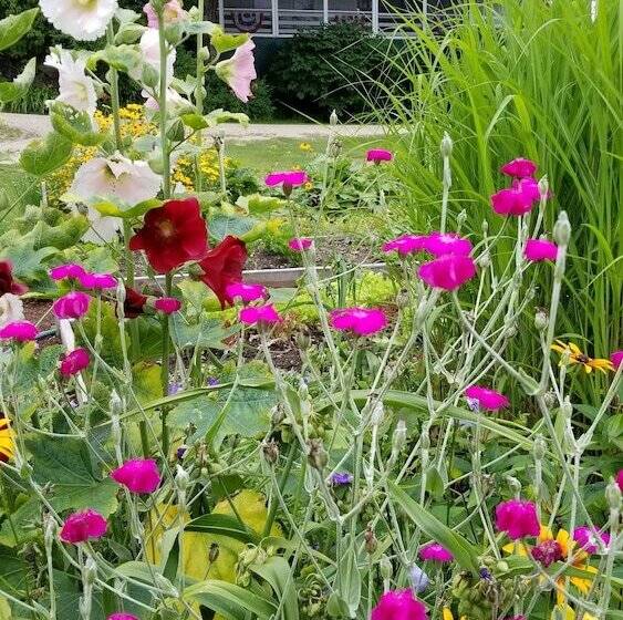 酒店 The Farmstand Bed & Breakfast