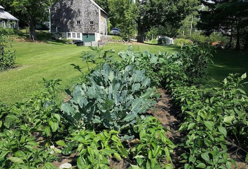 酒店 The Farmstand Bed & Breakfast