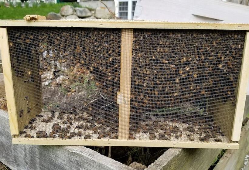 酒店 The Farmstand Bed & Breakfast