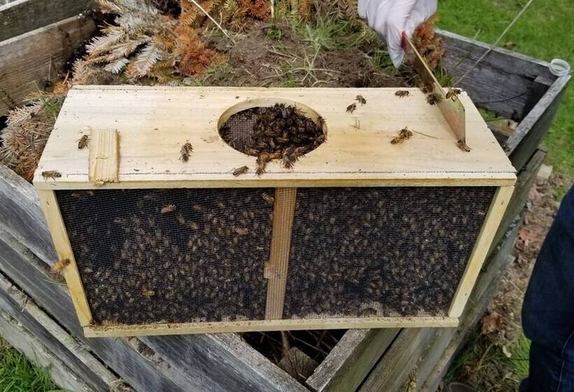 酒店 The Farmstand Bed & Breakfast