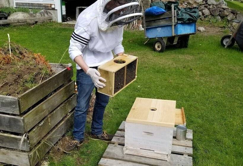 酒店 The Farmstand Bed & Breakfast