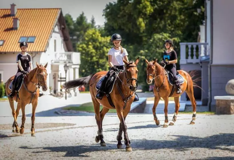 Pałac Mortęgi Hotel Spa