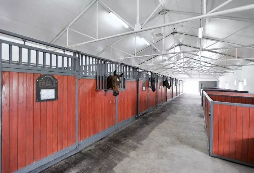 Pałac Mortęgi Hotel Spa