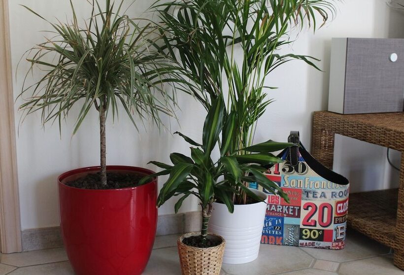 בית מלון כפרי B Guesthouse