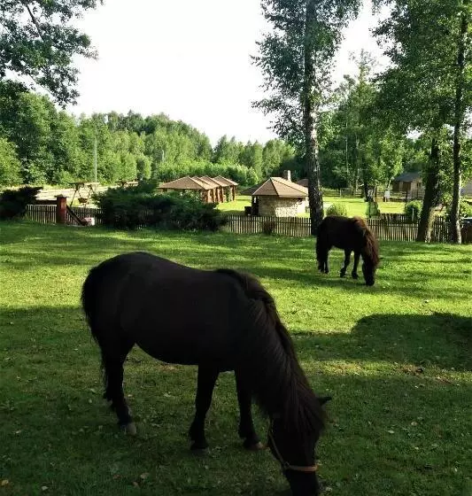 Hotelli Mazowieckie Sioło Julianówka