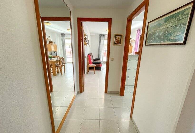 Apartamentos Olimpo 3000