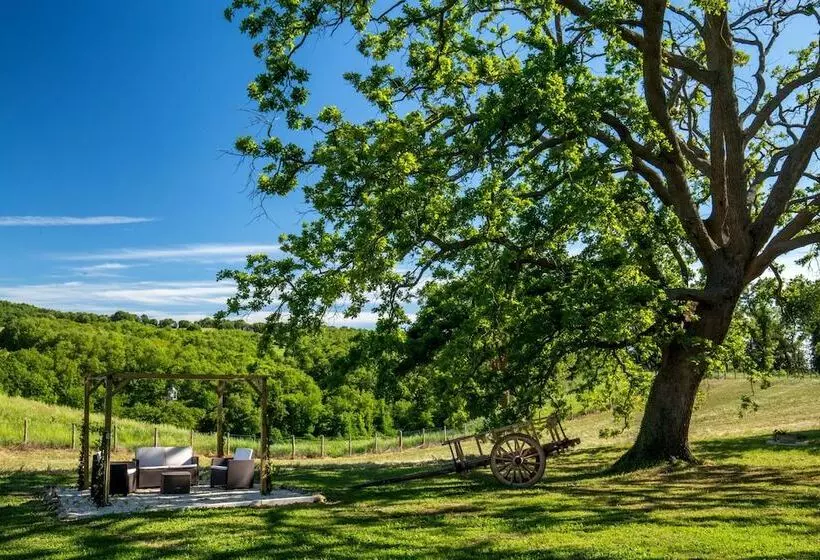 B&b Borgo Vera