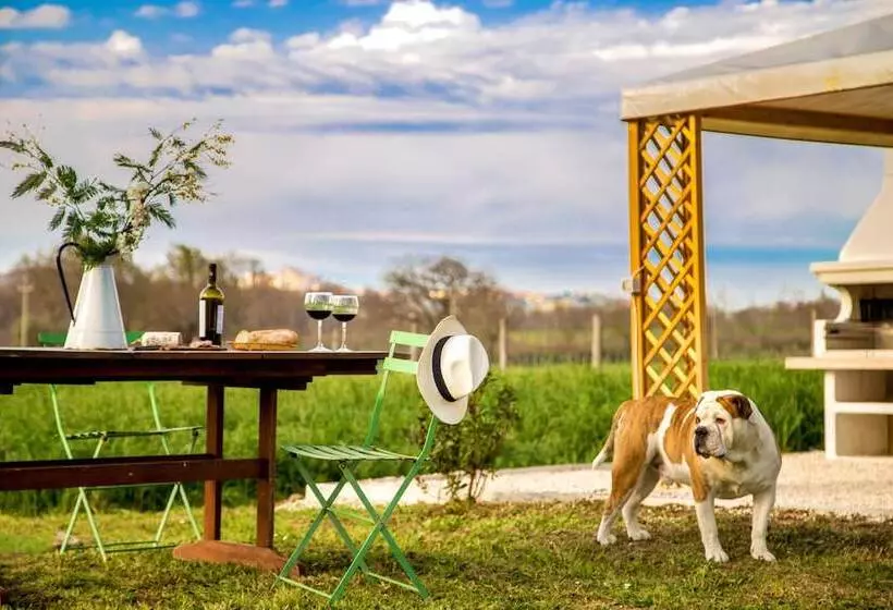 B&b Borgo Vera