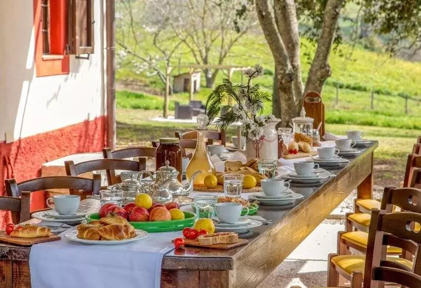 B&b Borgo Vera