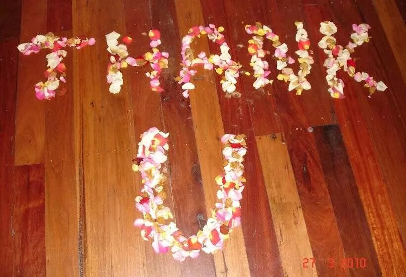 ベッドアンドブレックファースト Hunchy Hideaway