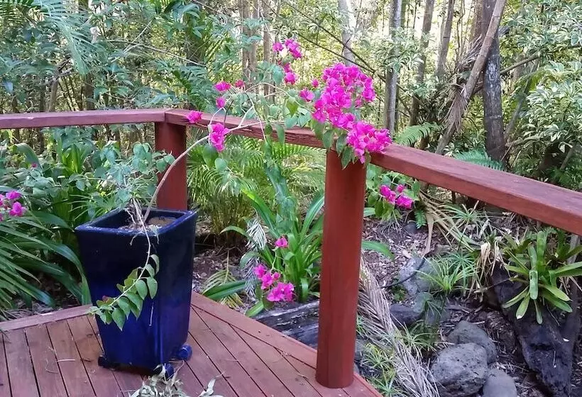 ベッドアンドブレックファースト Hunchy Hideaway