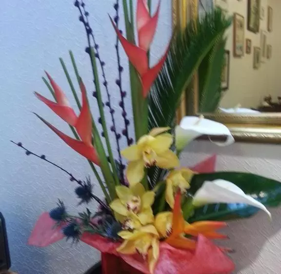 Hotel Ardlogie Guest House