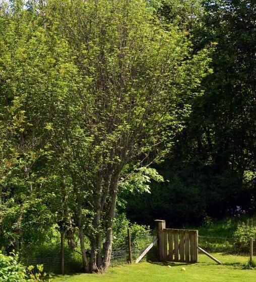 Hotel Ardlogie Guest House