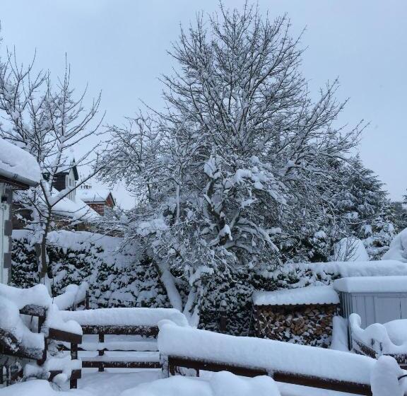 Hotel Ardlogie Guest House